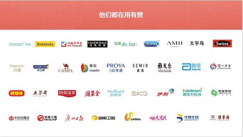 广州开发小程序的公司 广州有赞公司